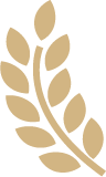 leaf l